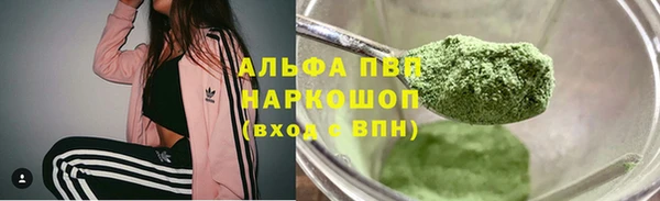 крисы Магас