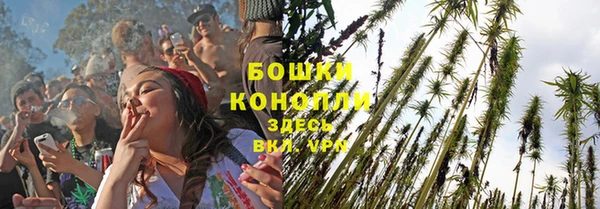 крисы Магас